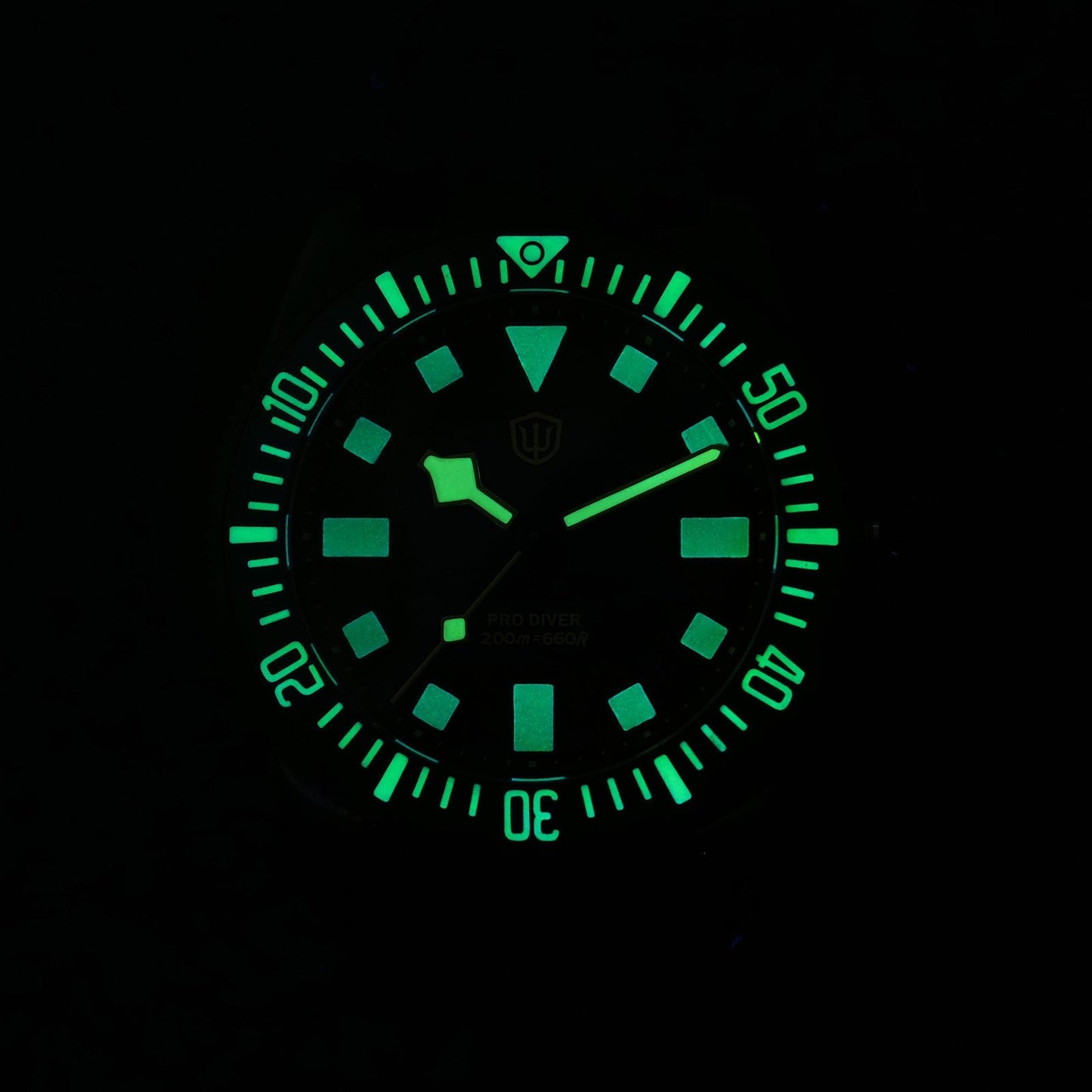 Watchdives 38mm EXD Titanium Diver Watch