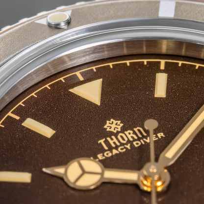 🔥EarlyBird🔥THORN 37mm PT5000 Automatic Dive Watch T028