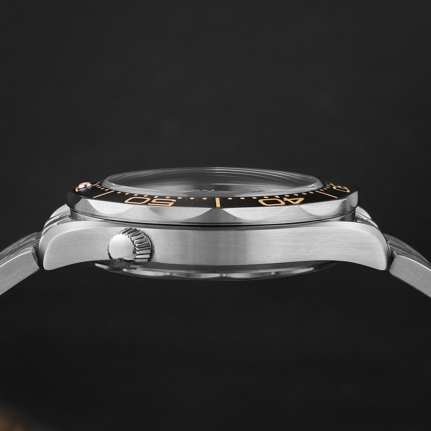 Watchdives WD007ST 39mm NTTD Dive Watch