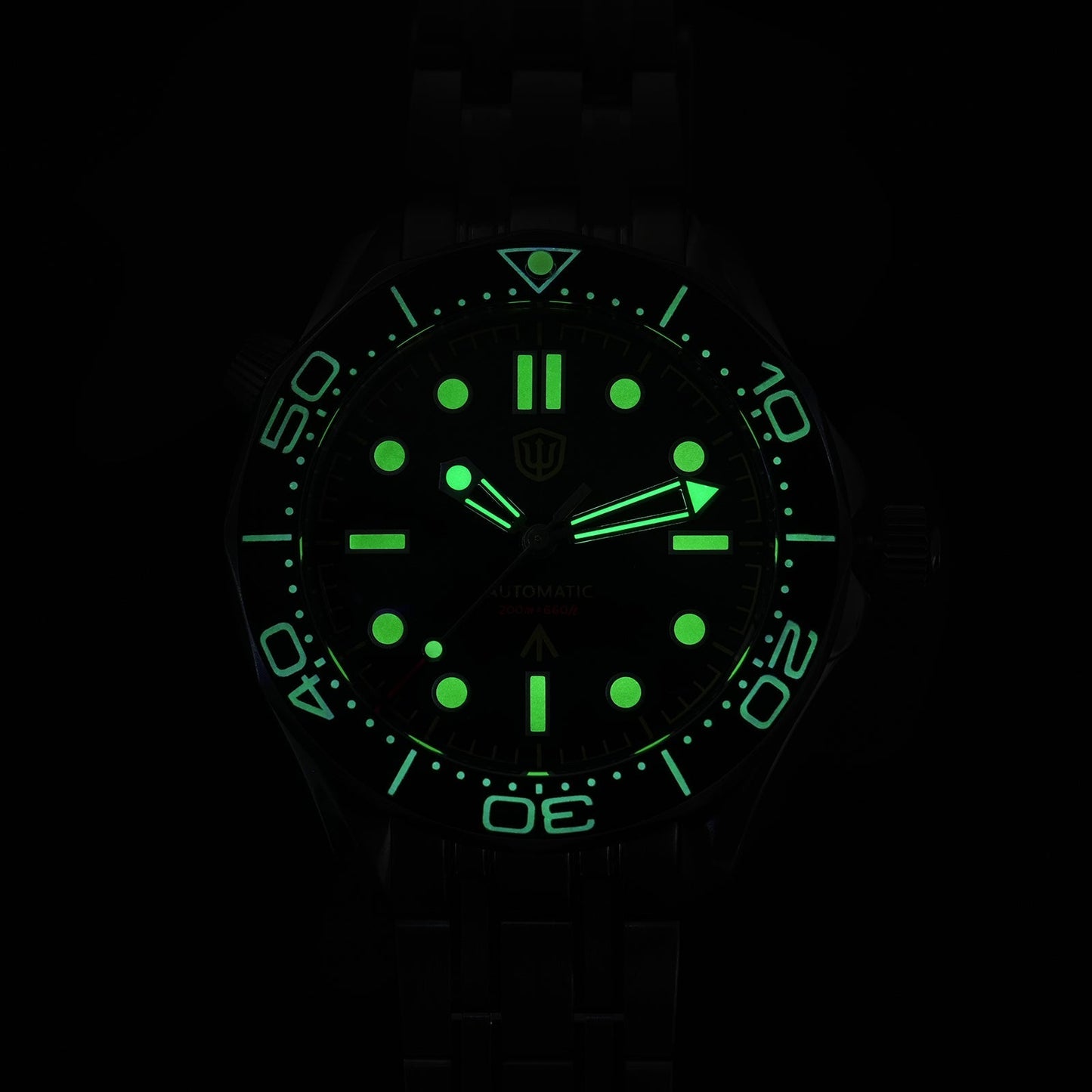 Watchdives WD007ST 39mm NTTD Dive Watch