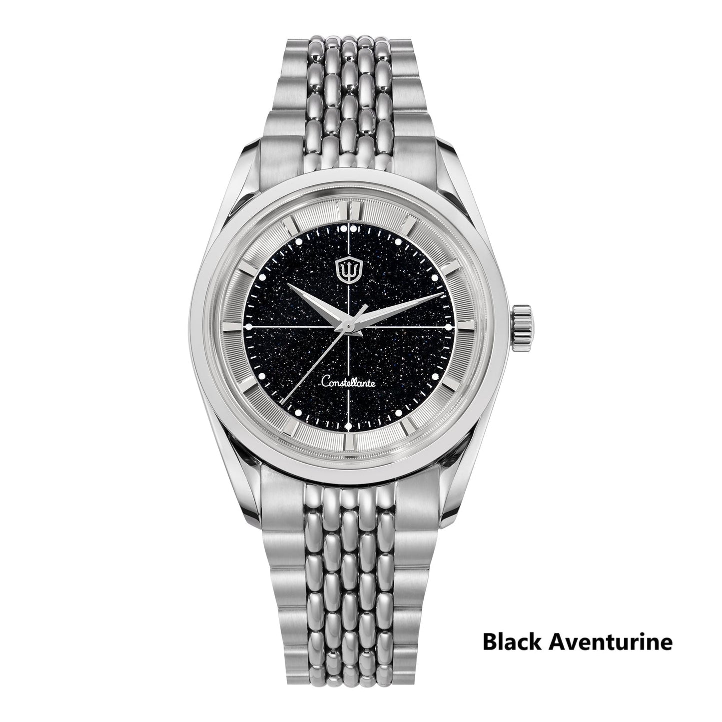 Watchdives WD1954 Arctic Classic 36mm VH31 Watch