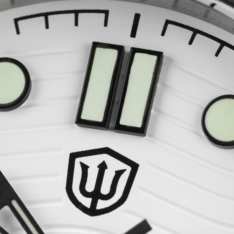 Watchdives WD007ST 39mm NTTD Dive Watch