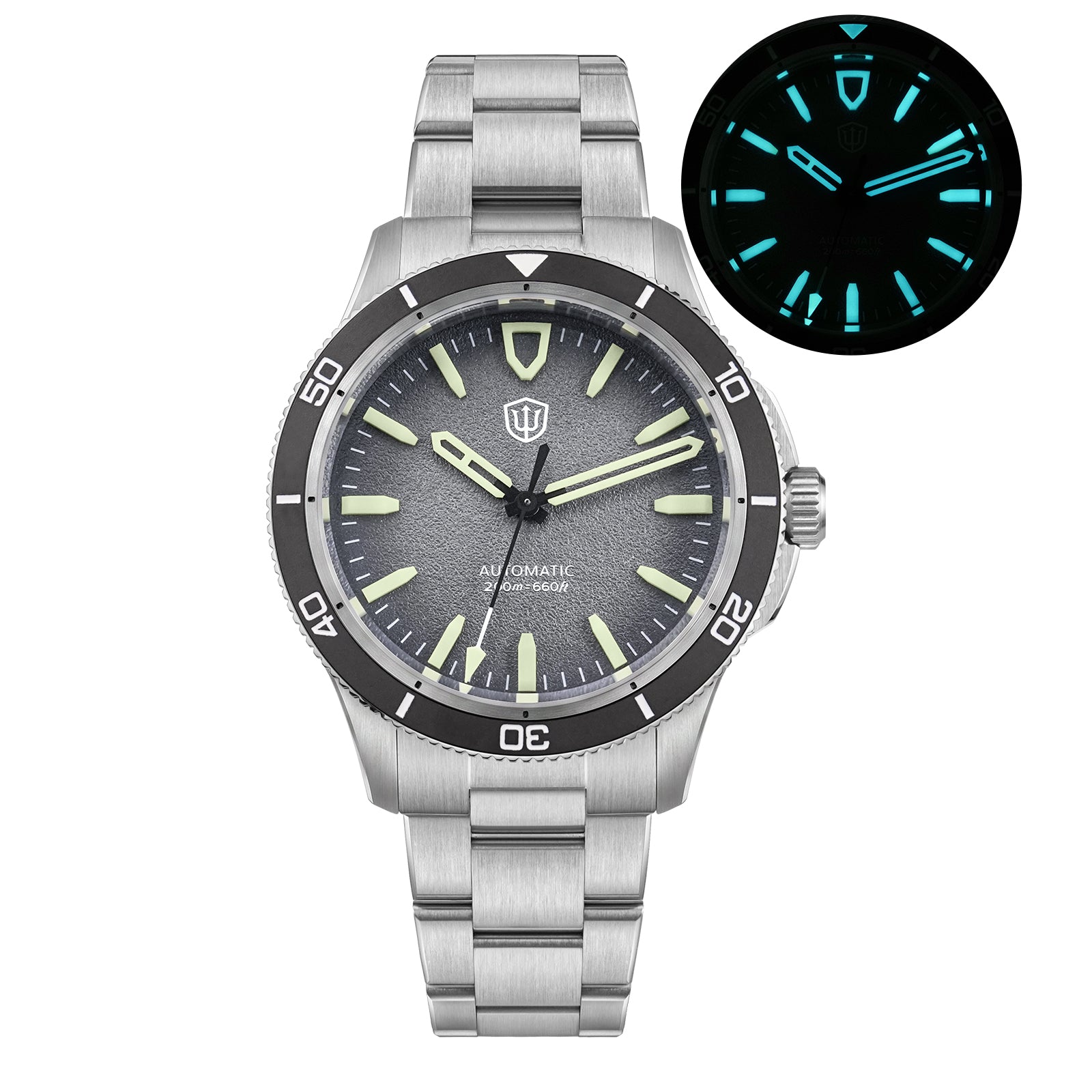 watchdives-wd0019-grey-dial-lume-Thorn Watch Official Store