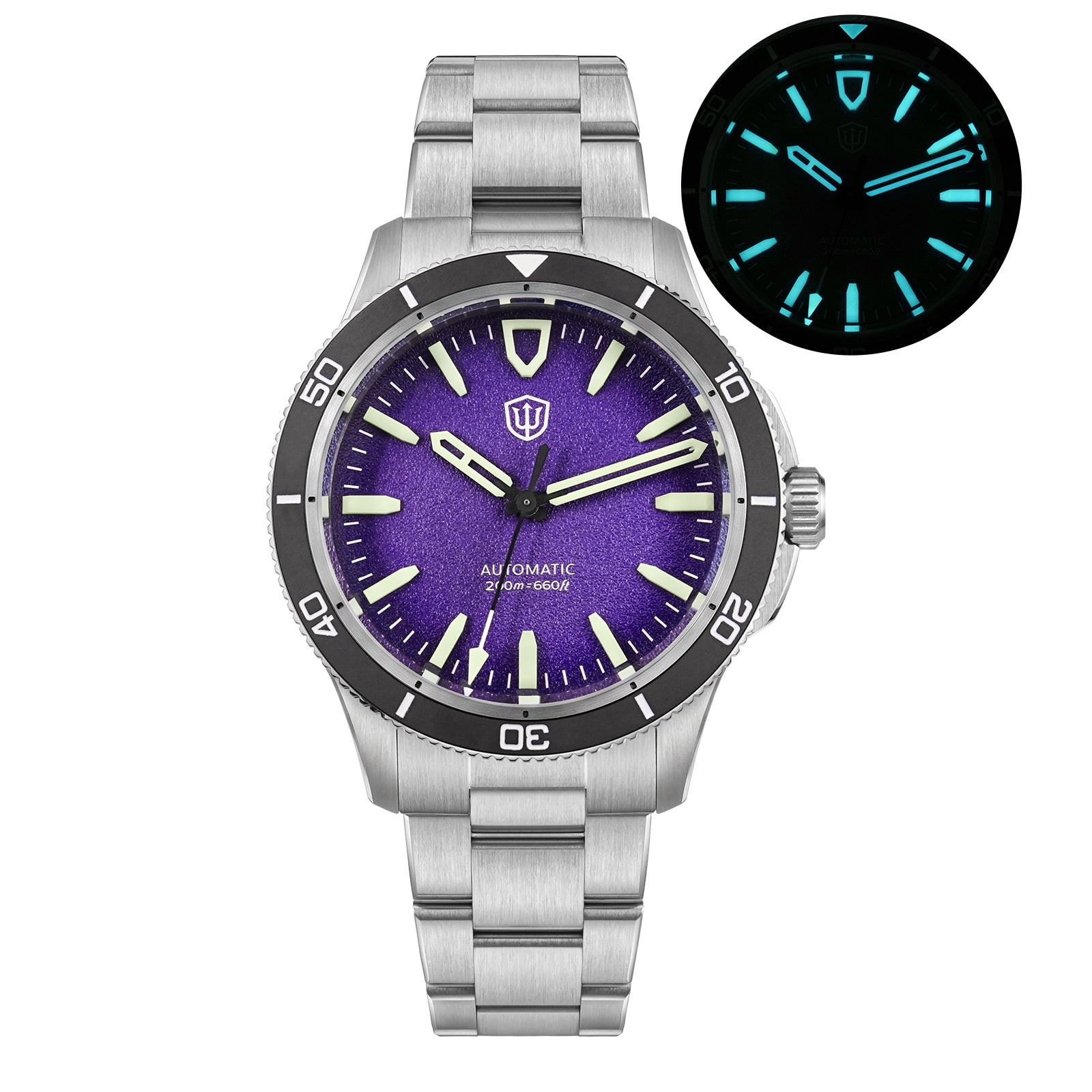 watchdives-wd0019-purple-dial-lume-Thorn Watch Official Store