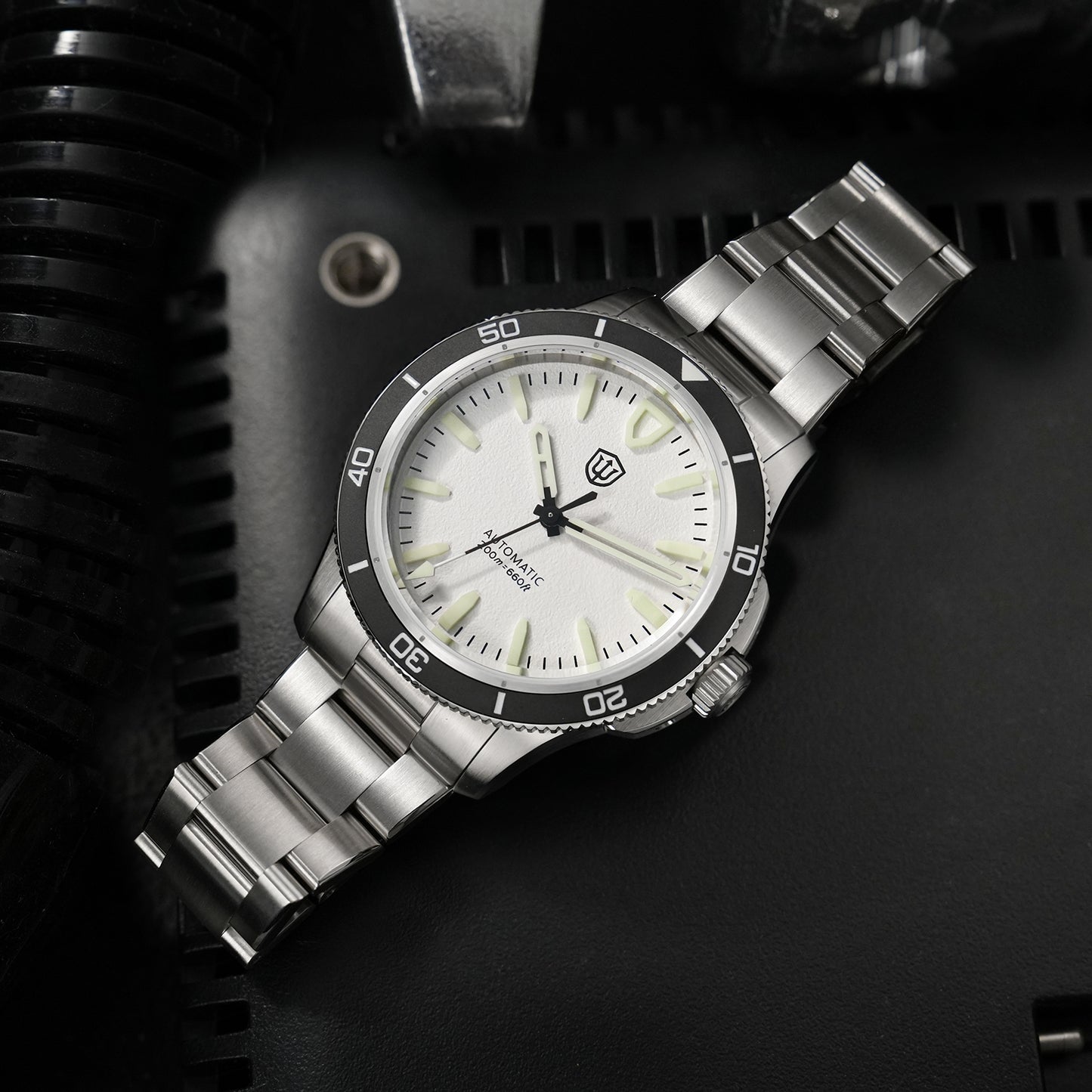watchdives-wd0019-white-dial-bracelet-Thorn Watch Official Store