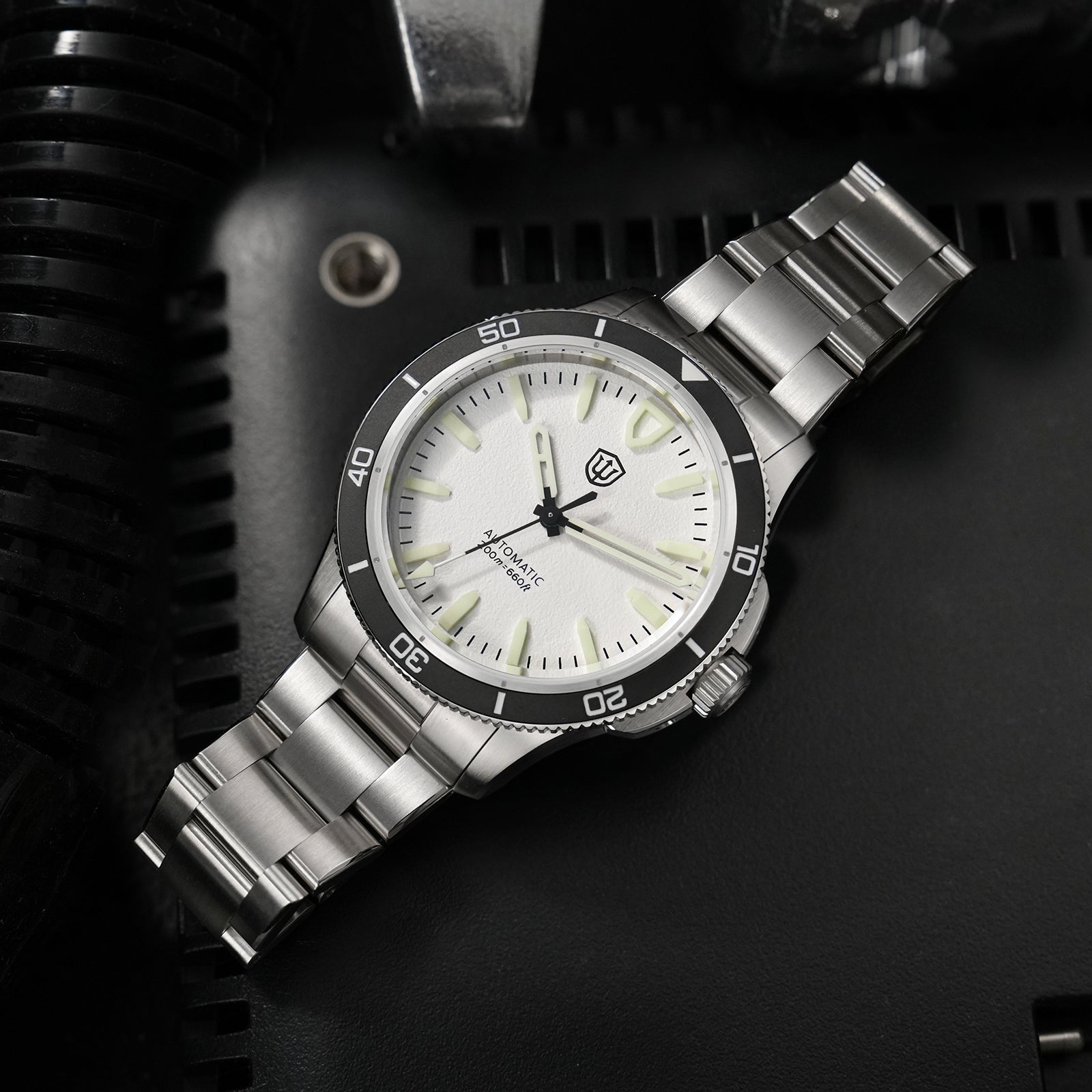 watchdives-wd0019-white-dial-bracelet-Thorn Watch Official Store