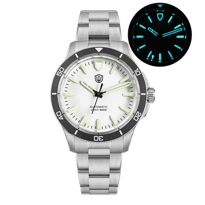 watchdives-wd0019-white-dial-lume-Thorn Watch Official Store